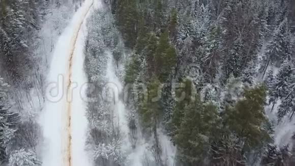 镜头移过冬天的森林和雪地标志的道路视频的预览图