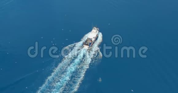 空中观景渔船与大捕鱼旋转饥饿的海鸥成群的角小船漂浮在海面上视频的预览图