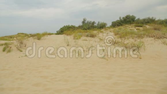 沙丘沙滩俯瞰蔚蓝的大海视频的预览图