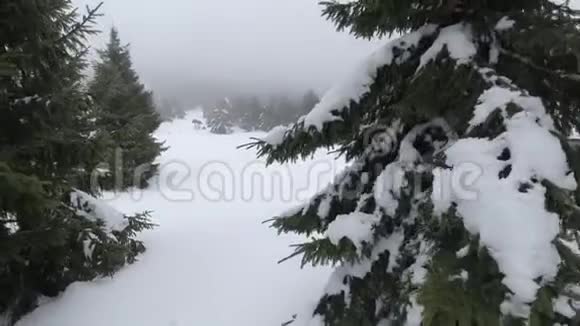 冬季喀尔巴阡山脉游客的避难所视频的预览图