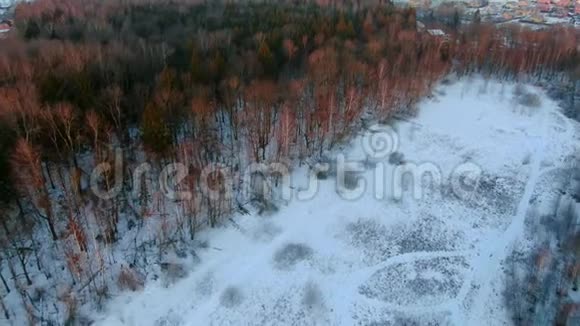 金色时刻日出时飞越冬季森林的空中景色视频的预览图