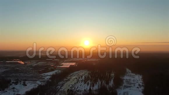 金色时刻日出时飞越冬季森林的空中景色视频的预览图