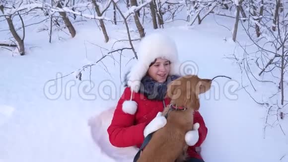快乐的孩子冬天在公园里和狗玩圣诞假期户外带猎狗的女孩女主人视频的预览图