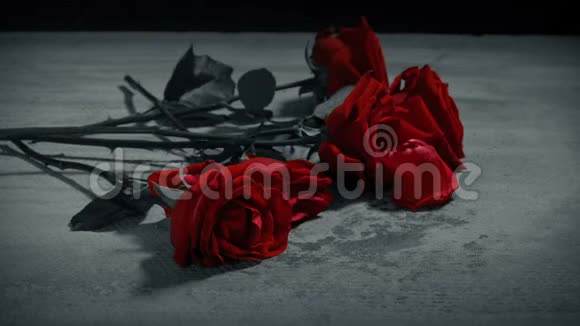 红玫瑰落在黑白两色的地上视频的预览图