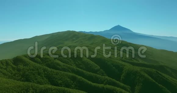 空中观景密松林在特内里费的背景火山泰德视频的预览图
