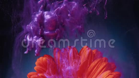 墨花在水中紫色的漆射出茂盛的熔岩视频的预览图