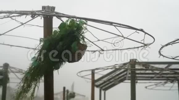 被飓风摧毁的阳伞上的一盆花被龙卷风摧毁的街头咖啡馆视频的预览图