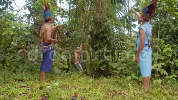 亚马逊雨林中的一个阿亚胡阿斯卡植物视频的预览图