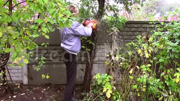男工砍树电锯视频的预览图