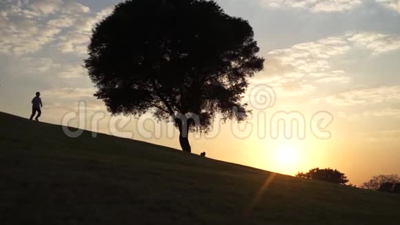 日落时分在大树旁缓慢地走下坡路的小孩剪影视频的预览图