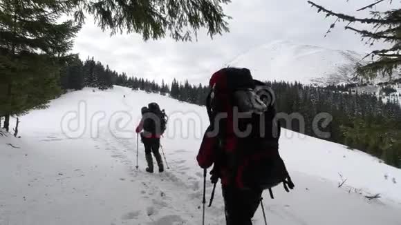 两名游客在雪山上进行冬季徒步旅行视频的预览图