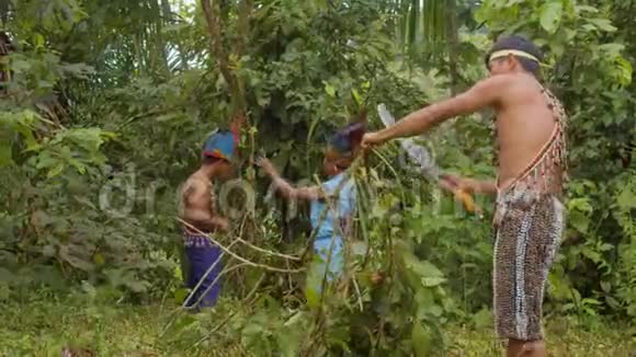 土著人人类在亚马逊雨林中砍伐了ayahuasca枝视频的预览图