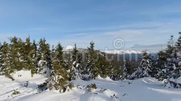 乌克兰冬季的戈弗拉和彼得罗斯潘潘视频的预览图
