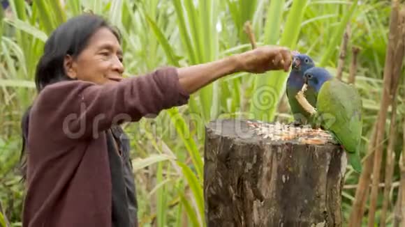 在丛林里玩鹦鹉的土著老女人视频的预览图