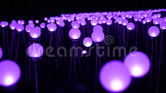 在晚上被困在地上的球形彩色灯泡视频的预览图