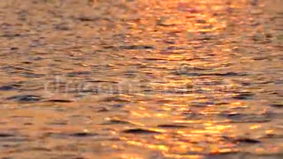 柔和的日落色反射在海水上天然柔和的时尚色彩海景海水与月球轨道上的水视频的预览图