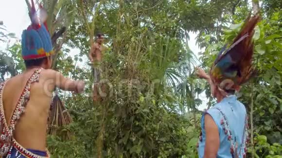 亚马逊土著酋长指出阿亚胡阿斯卡植物视频的预览图