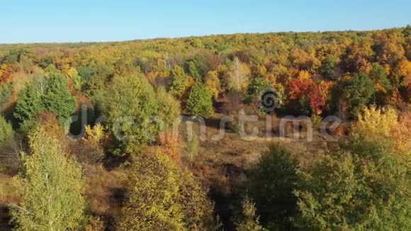 美丽的秋天森林从一个高度缓慢地飞过绿红黄的秋树空中射击视频的预览图