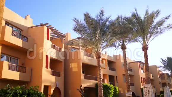 阳光明媚的一天埃及的建筑和棕榈酒店全景观看视频运动全高清镜头1920x1080视频的预览图