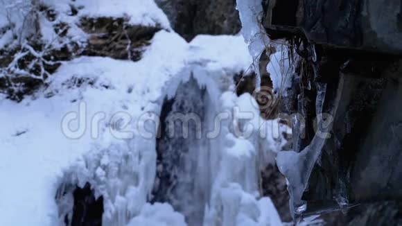 喀尔巴阡山脉森林中的冻冬瀑布视频的预览图