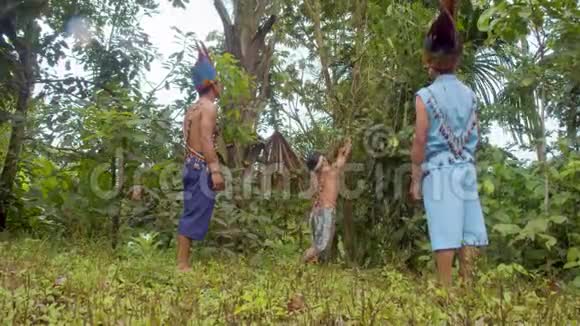 土著男子在亚马逊雨林中拉倒了一片阿亚胡阿斯卡视频的预览图