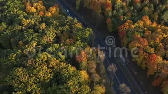 道路上有良好的沥青为汽车之间的大城市森林树木俯视阳光和温暖的天气散步视频的预览图