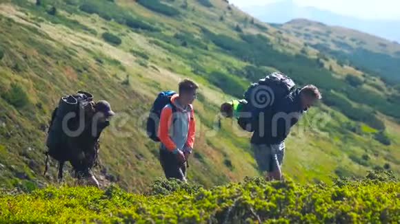 三个雄性徒步旅行者在美丽的山脉背景视频的预览图