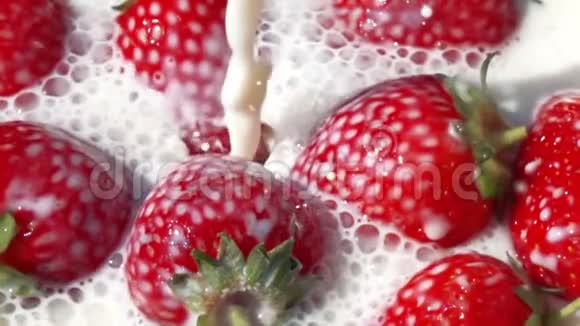 牛奶里的草莓慢动作视频的预览图