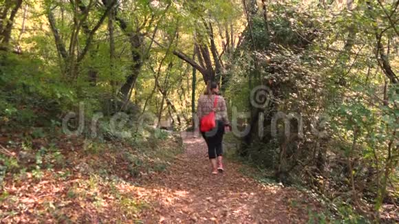 在树林里散步的女人视频的预览图
