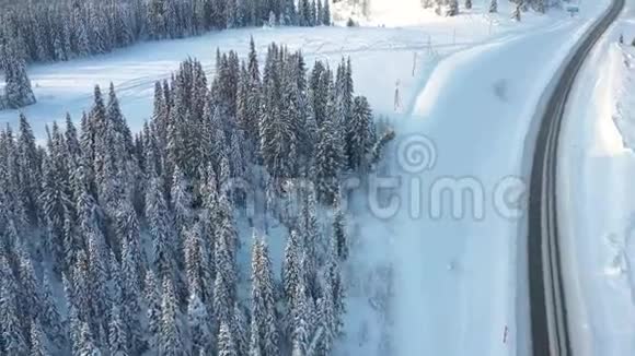 晴天的冬季森林白雪覆盖的枞树大雪纷飞上面的美景视频的预览图