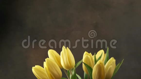美丽的黄色郁金香花束视频的预览图