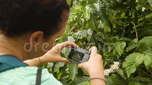 旅游女用咖啡花相机拍照视频的预览图