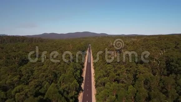 澳大利亚东南部农村森林2018年4月晴天30毫米4K激励2试验视频的预览图