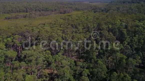 澳大利亚东南部农村森林2018年4月晴天30毫米4K激励2试验视频的预览图