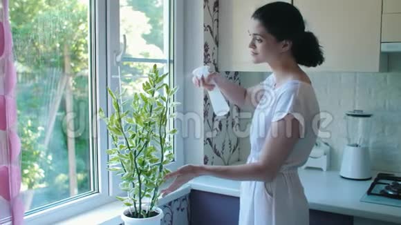 女人用水喷洒植物视频的预览图