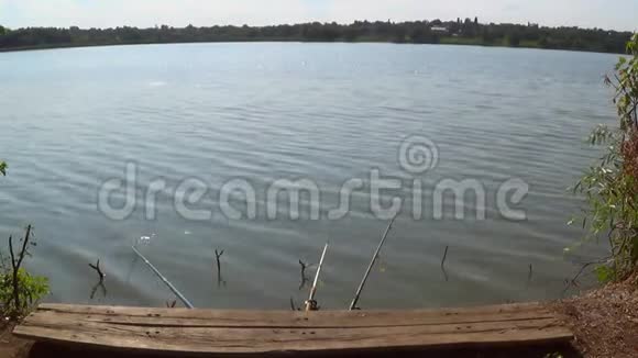 一个渔夫钓了一根鱼竿钓到一条鱼在炎热的夏日在池塘的岸边钓上鱼视频的预览图