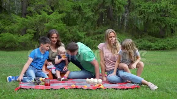 有野餐户外活动的大家庭视频的预览图