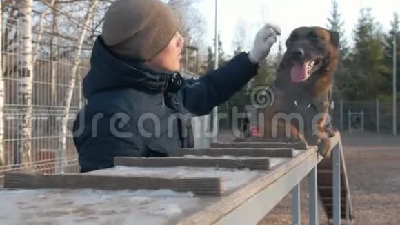 一位微笑的教练抚摸着坐在看台上的德国牧羊犬视频的预览图