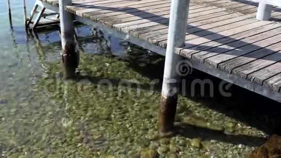 在湖中游泳的铁梯视频的预览图