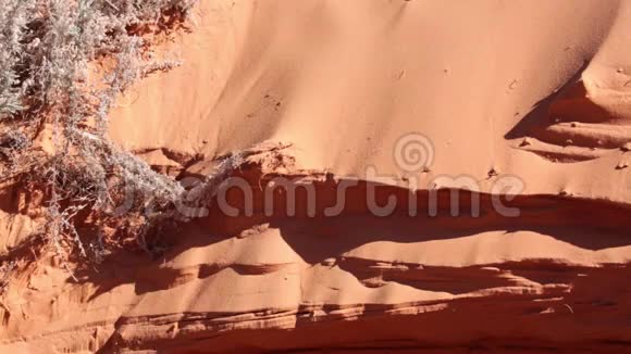 细沙滑下侵蚀沙丘的一侧视频的预览图