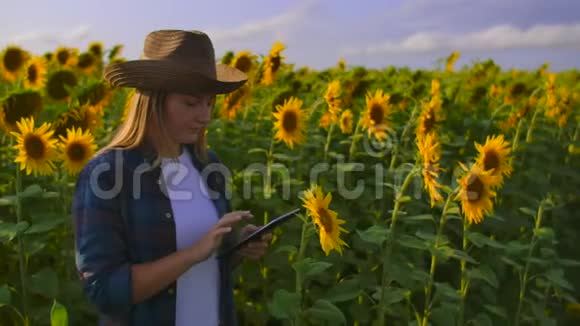 农夫姑娘正在看向日葵视频的预览图