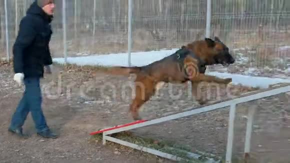 一个人在操场上训练他的狗狗在看台上跑来跑去视频的预览图