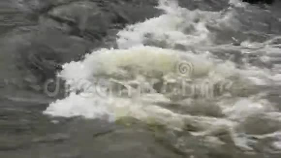 清澈的河水在春天里流淌清澈的小溪视频的预览图