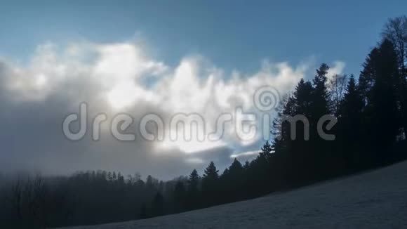 雾天天气视频的预览图