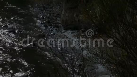 沿着岩石悬崖边的海岸移动的潮水视频的预览图