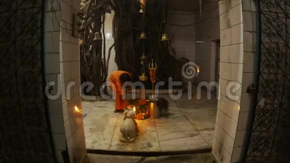 僧侣们在希瓦寺内的牛南迪雕像附近用火表演印度教仪式大榕树铃铛三叉树花夜晚视频的预览图