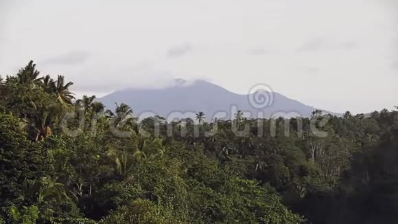 巴厘岛丛林中的布拉丹山景视频的预览图
