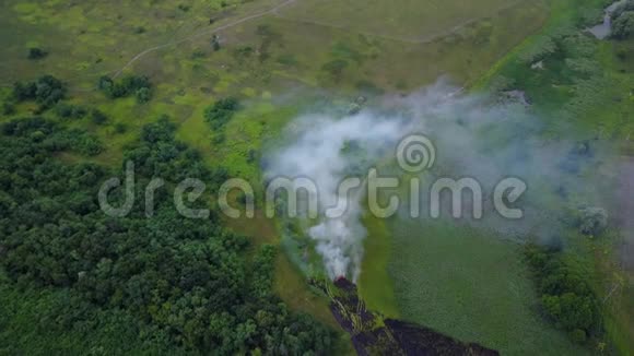 在一片荒芜的田野里燃烧着草木火破坏了地球的自然和绿色植物高密度烟雾视频的预览图