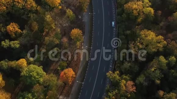 美丽的秋天森林从一个高度缓慢地飞过绿红黄的秋树空中飞行视频的预览图