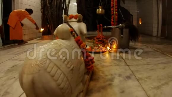 印度教仪式由和尚希夫一个寺庙内的装饰花大榕树轻视频的预览图